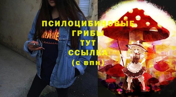 ALPHA PVP Михайловск