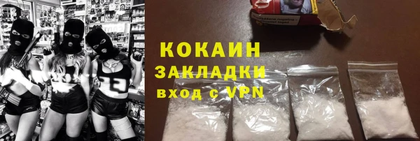 МДПВ Михайлов